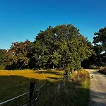 Fachwerkwohnung Am Allerufer Und Jakobsweg *