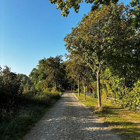 Apartment Fachwerkwohnung Am Allerufer Und Jakobsweg Celle